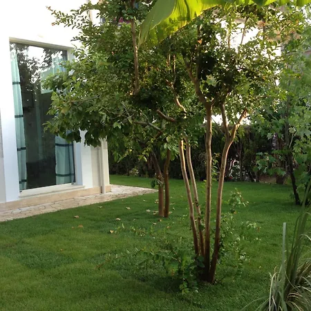 Loft 3, A 150 M Dal Mare, Centro Pineto
