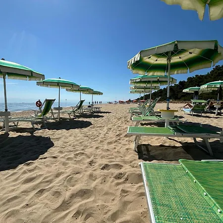 Loft 1-2-3, In Centro, Con Giardino, A 150 M Dal Mare Pineto