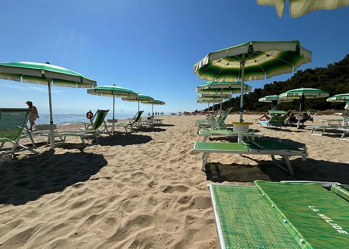 Loft 1-2-3, In Centro, Con Giardino, A 150 M Dal Mare Pineto